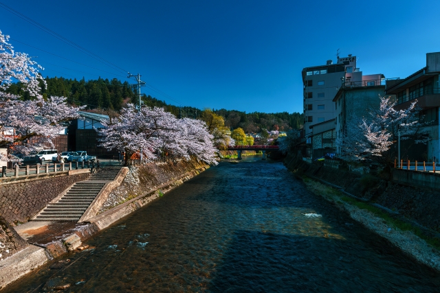 浮気調査　京都