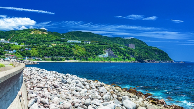 浮気調査　静岡